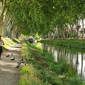 Apartamento Studio Cosy Et Calme Hypercentre, Toulouse